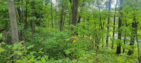 tbd Cedar Rd, Cushing, MN 56443 photo 8