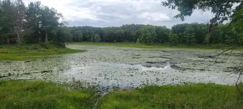 tbd Cedar Rd, Cushing, MN 56443 photo 4