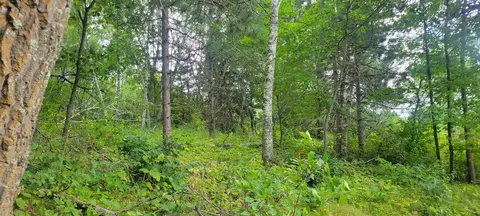 tbd Cedar Rd, Cushing, MN 56443 photo 5