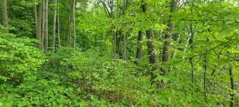 tbd Cedar Rd, Cushing, MN 56443 photo 11