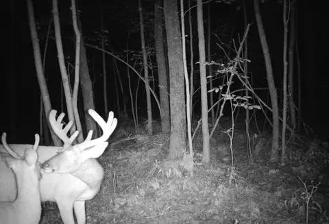 tbd Parcel C County Rd 23, Brainerd, MN 56401 photo 7