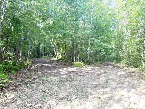 tbd Parcel C County Rd 23, Brainerd, MN 56401 photo 11