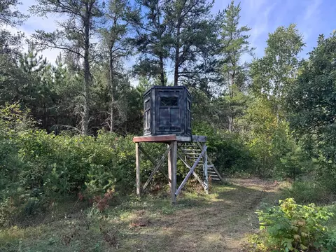 tbd 170th St, Akeley, MN 56433 photo 6