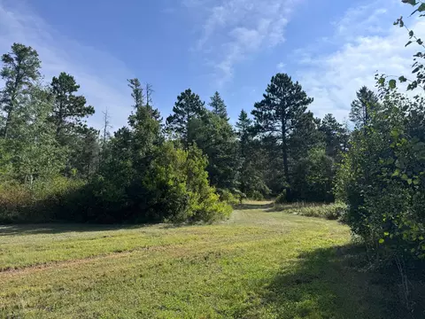 tbd 170th St, Akeley, MN 56433 photo 9