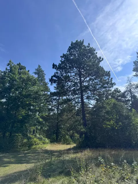 tbd 170th St, Akeley, MN 56433 photo 12