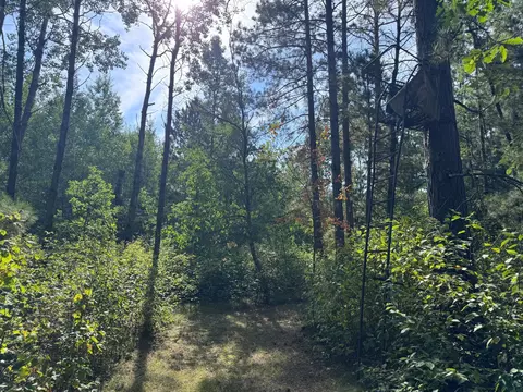 tbd 170th St, Akeley, MN 56433 photo 5