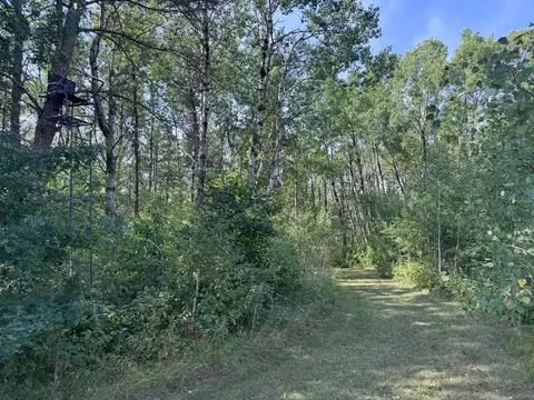 tbd 170th St, Akeley, MN 56433 photo 8