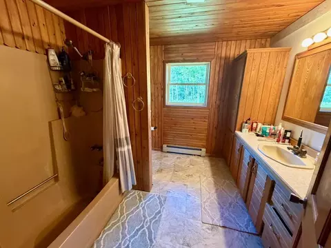 Bath - 12503 Sethers Rd, Orr, MN 55771 photo 1 of 2