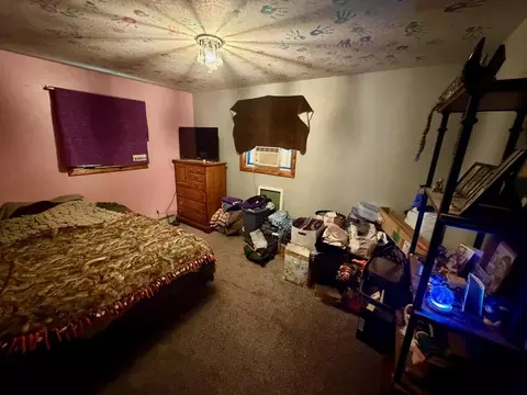 Bedroom - 12503 Sethers Rd, Orr, MN 55771 photo 2 of 4