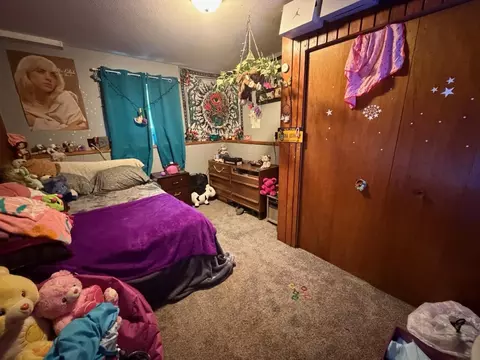 Bedroom - 12503 Sethers Rd, Orr, MN 55771 photo 3 of 4