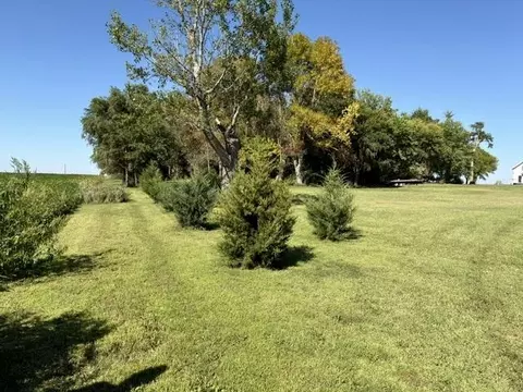 Exterior - 54299 910 St, Windom, MN 56101 photo 5 of 15
