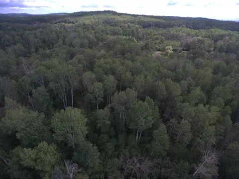 tbd Nnn Maxwell Rd, Duluth, MN 55803 photo 8