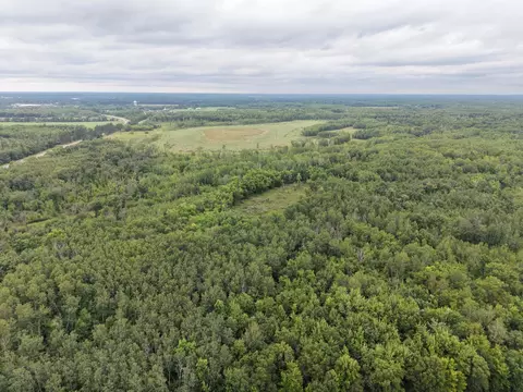 View/Area - 12157 Butternut Rd, Brainerd, MN 56401 photo 4 of 4