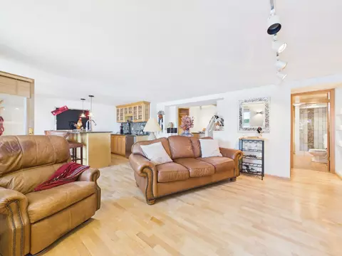 Living - 32805 Spunk Tree Cir, Avon, MN 56310 photo 5 of 5