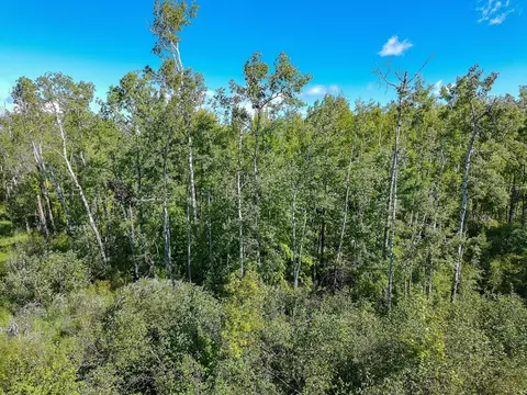 57658 Loon Ave, Mcgregor, MN 55760 photo 21