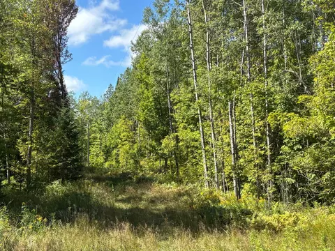 57658 Loon Ave, Mcgregor, MN 55760 photo 14
