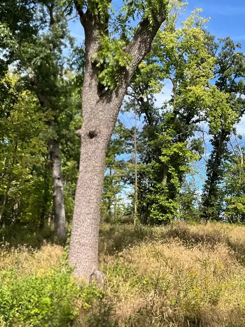 tbd Twin Bluff Ln S, Stockholm, WI 54769