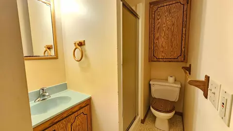 Bath - 103 2nd Ave S, Dent, MN 56528 photo 3 of 3