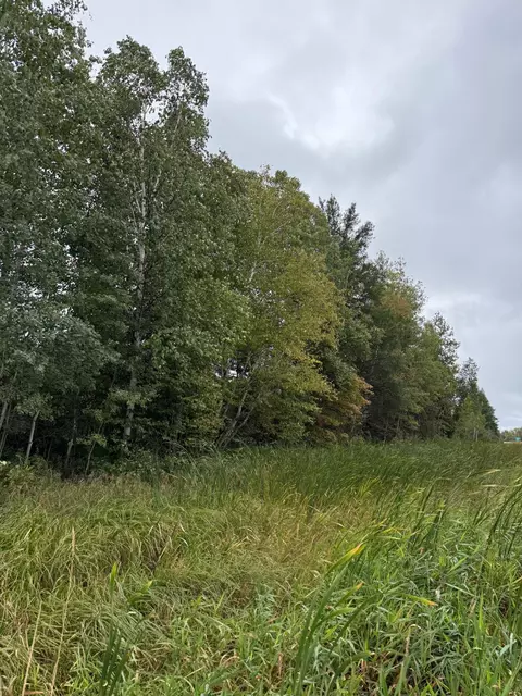tbd Highway 53, Orr, MN 55771 photo 27
