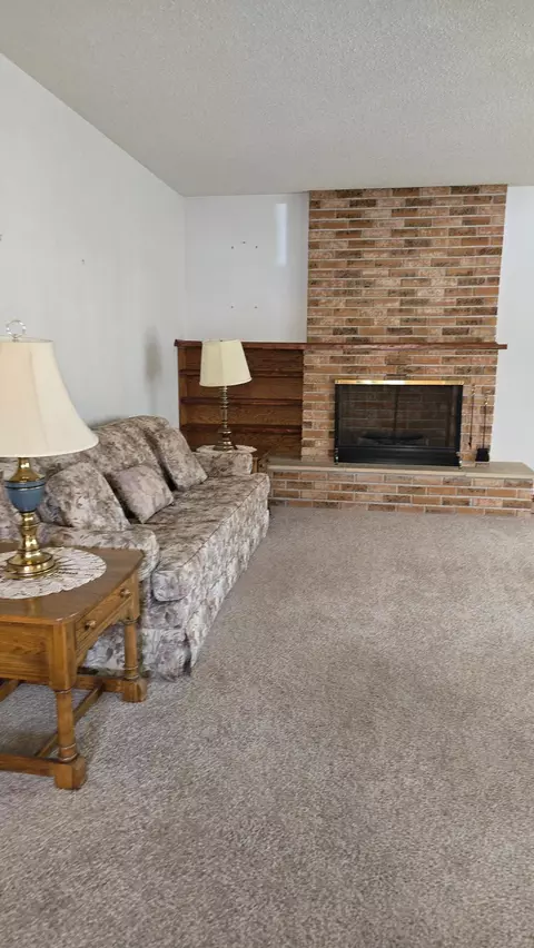 Living - 207 E Lyon St, Marshall, MN 56258 photo 2 of 4