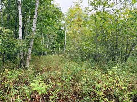 84227 Denham Rd, Willow River, MN 55795 photo 25
