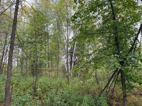 84227 Denham Rd, Willow River, MN 55795 photo 24