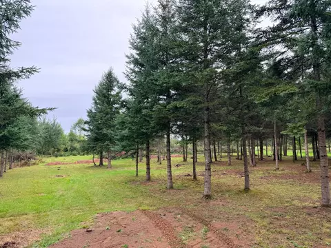 84227 Denham Rd, Willow River, MN 55795 photo 17