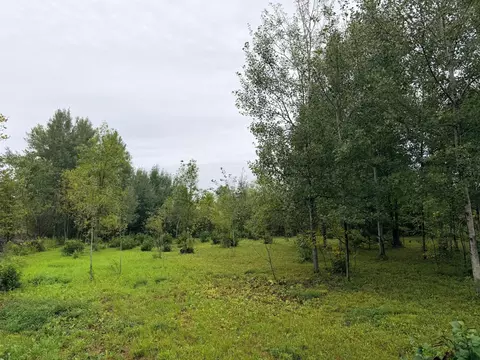 84227 Denham Rd, Willow River, MN 55795 photo 11