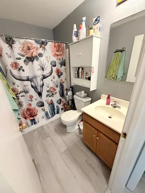 Bath - 115 Riverside Dr, Stephen, MN 56757 photo 1 of 1