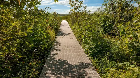 tbd Lantern Ln, Hackensack, MN 56452 photo 15