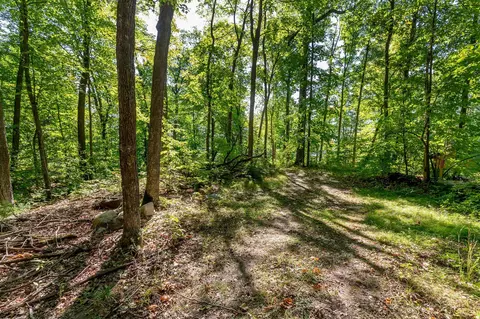 tbd Lantern Ln, Hackensack, MN 56452 photo 6