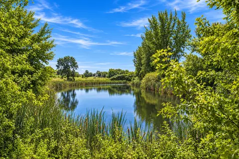 View/Area - 822 Deer Path, Montgomery, MN 56069 photo 5 of 10