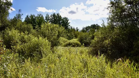 tbd 480thcty Rd 3 St, Palisade, MN 56469 photo 14