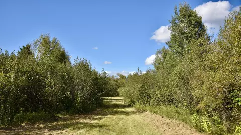 tbd 480thcty Rd 3 St, Palisade, MN 56469 photo 6