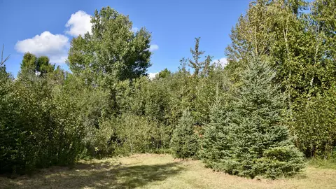 tbd 480thcty Rd 3 St, Palisade, MN 56469 photo 25