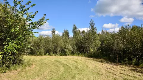 tbd 480thcty Rd 3 St, Palisade, MN 56469 photo 10