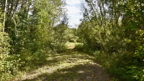 tbd 480thcty Rd 3 St, Palisade, MN 56469 photo 43