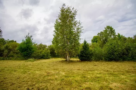 tbd 480thcty Rd 3 St, Palisade, MN 56469 photo 23