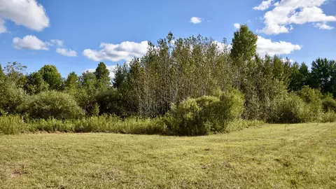 tbd 480thcty Rd 3 St, Palisade, MN 56469 photo 40