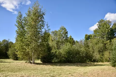 tbd 480thcty Rd 3 St, Palisade, MN 56469 photo 22