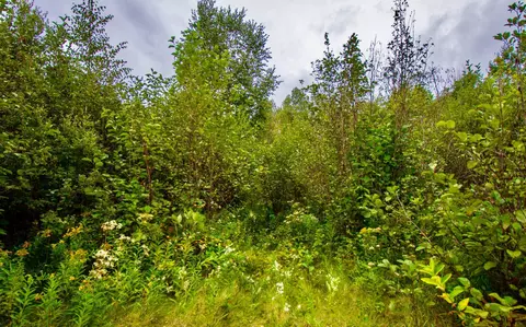 tbd 480thcty Rd 3 St, Palisade, MN 56469 photo 39