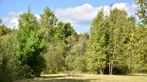 tbd 480thcty Rd 3 St, Palisade, MN 56469 photo 12
