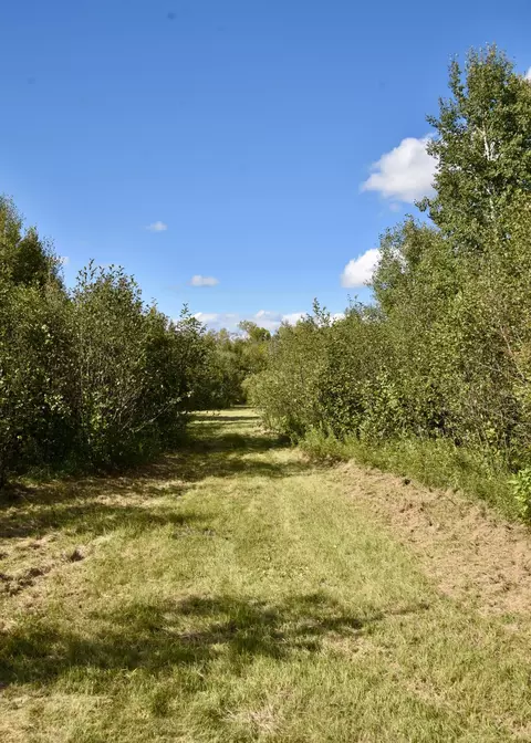 tbd 480thcty Rd 3 St, Palisade, MN 56469 photo 7