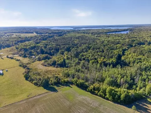 View/Area - 35455 Freestone Rd, Grand Rapids, MN 55744 photo 6 of 9