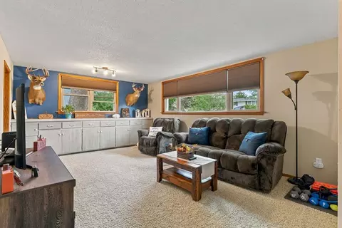 Living - 700 Lyndale Ave, Spring Valley, MN 55975 photo 5 of 5