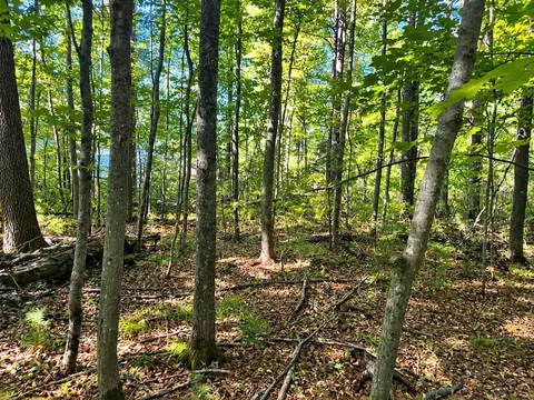 lot1 2 Bluegill Ave N, Webster, WI 54893