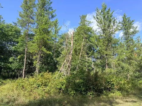 tbd County 119, Nevis, MN 56467 photo 14
