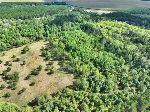 tbd County 119, Nevis, MN 56467 photo 4