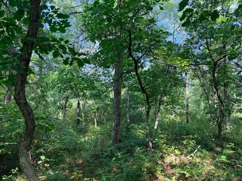 tbd County 119, Nevis, MN 56467 photo 11