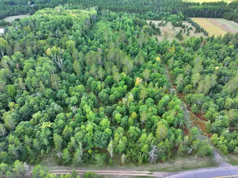 tbd County 119, Nevis, MN 56467 photo 5